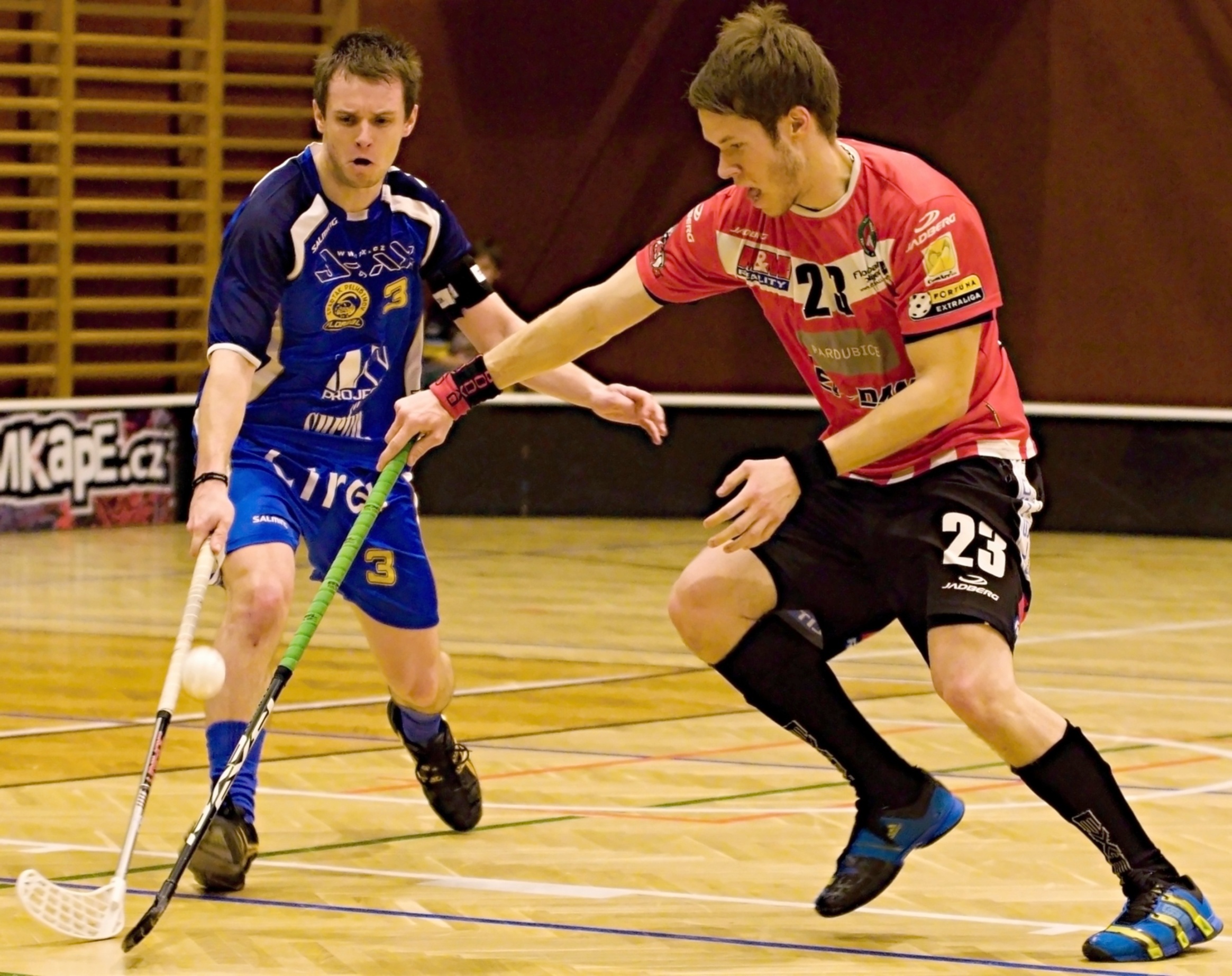 Pe.A   PArdubice 16.2.2013 (31)